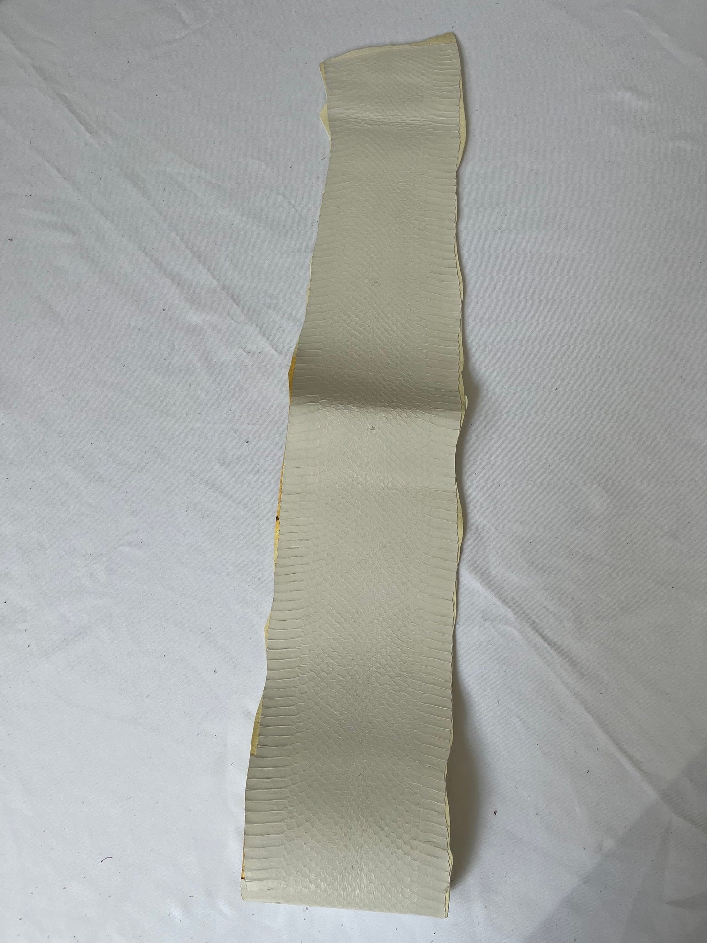 Genuine snake leather hide, thin and glossy color white, thickness 0,3mm(1 oz)