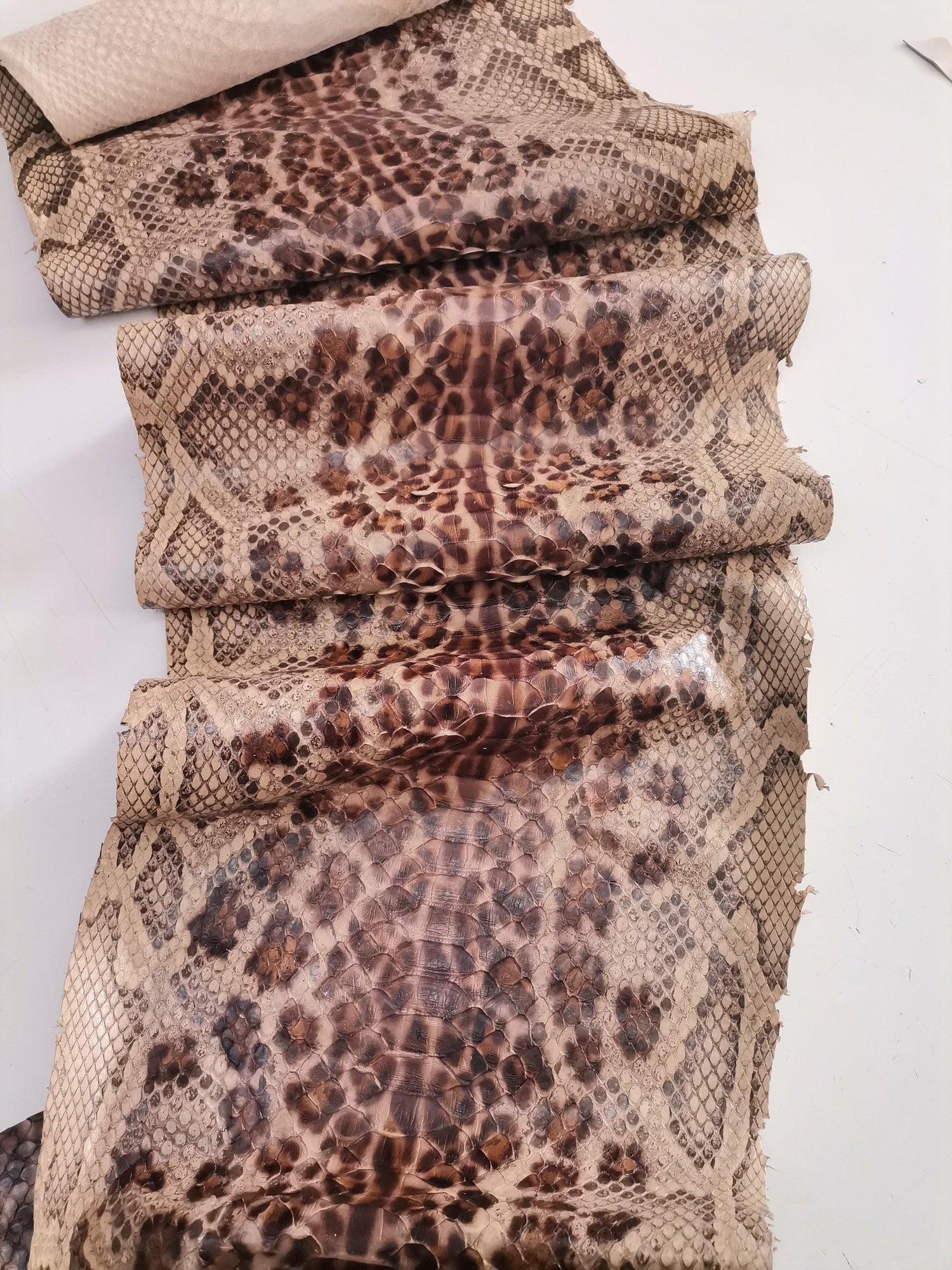 Genuine snakeskins. Real snake leather thin and matte. Natural wide snake skin - Salvo Leather