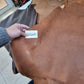 Goat leather hide, Superior Genuine goat semi-veg burnishable skin Thick. 1,1mm (3 oz) - Salvo Leather