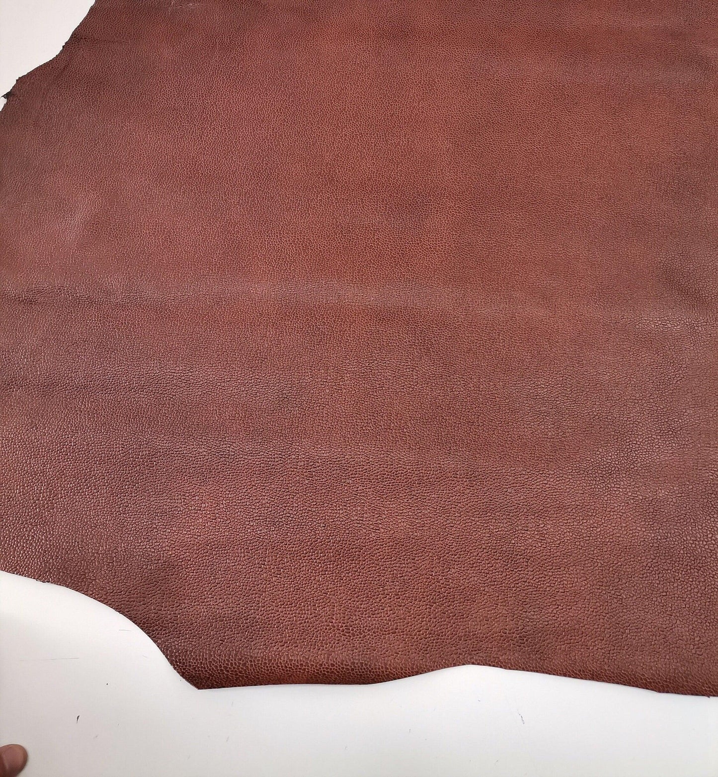 Goat leather hide, Genuine goat skin leather pieces bubble effect, thicknes - Salvo Leather