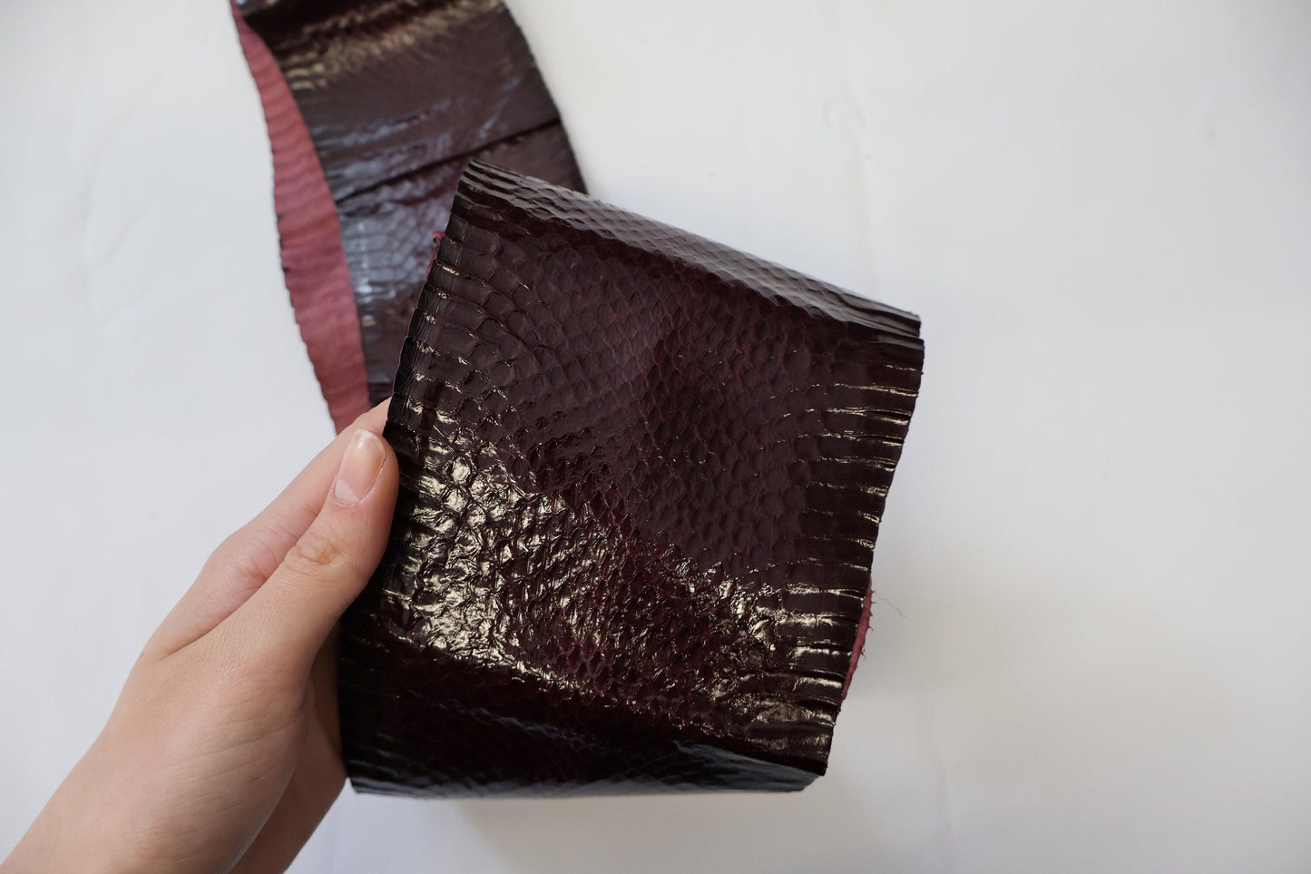 Genuine snakeskins. Real snake leather hide, thin and glossy, thickness 0,3mm(1 oz) - Salvo Leather