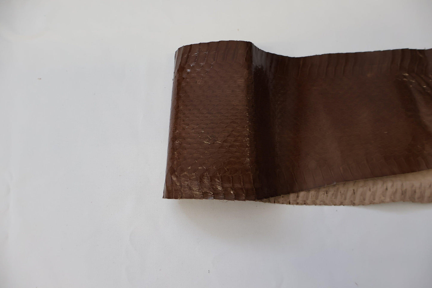 Genuine snakeskins. Real snake leather hide, thin and glossy, thickness 0,3mm(1 oz) - Salvo Leather