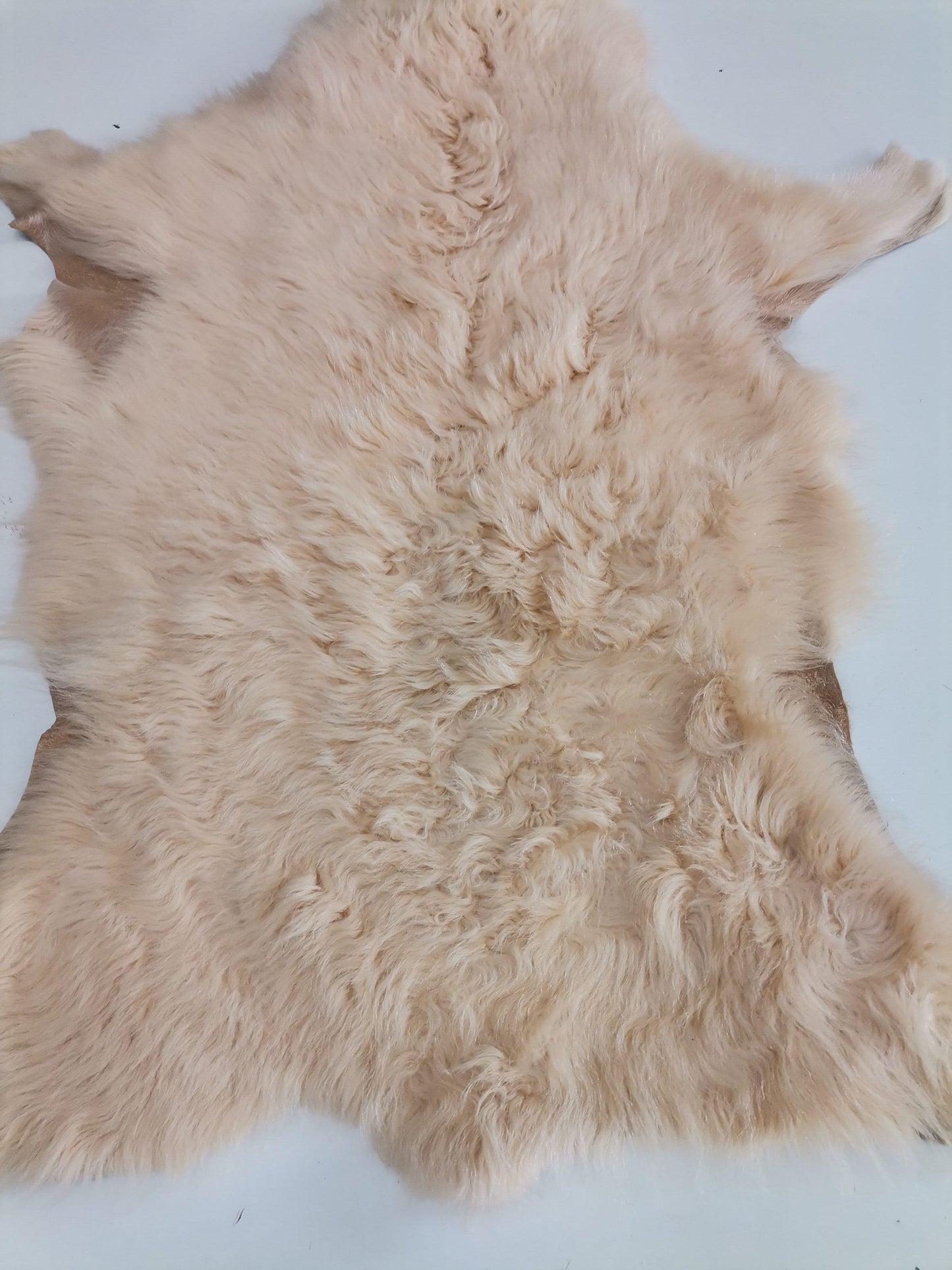 Sheepskin rug shearling leather hide, lambskin curly hair on, natural wool mouton leather - Salvo Leather