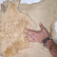 Sheepskin rug shearling leather hide, lambskin curly hair on, natural wool mouton leather - Salvo Leather