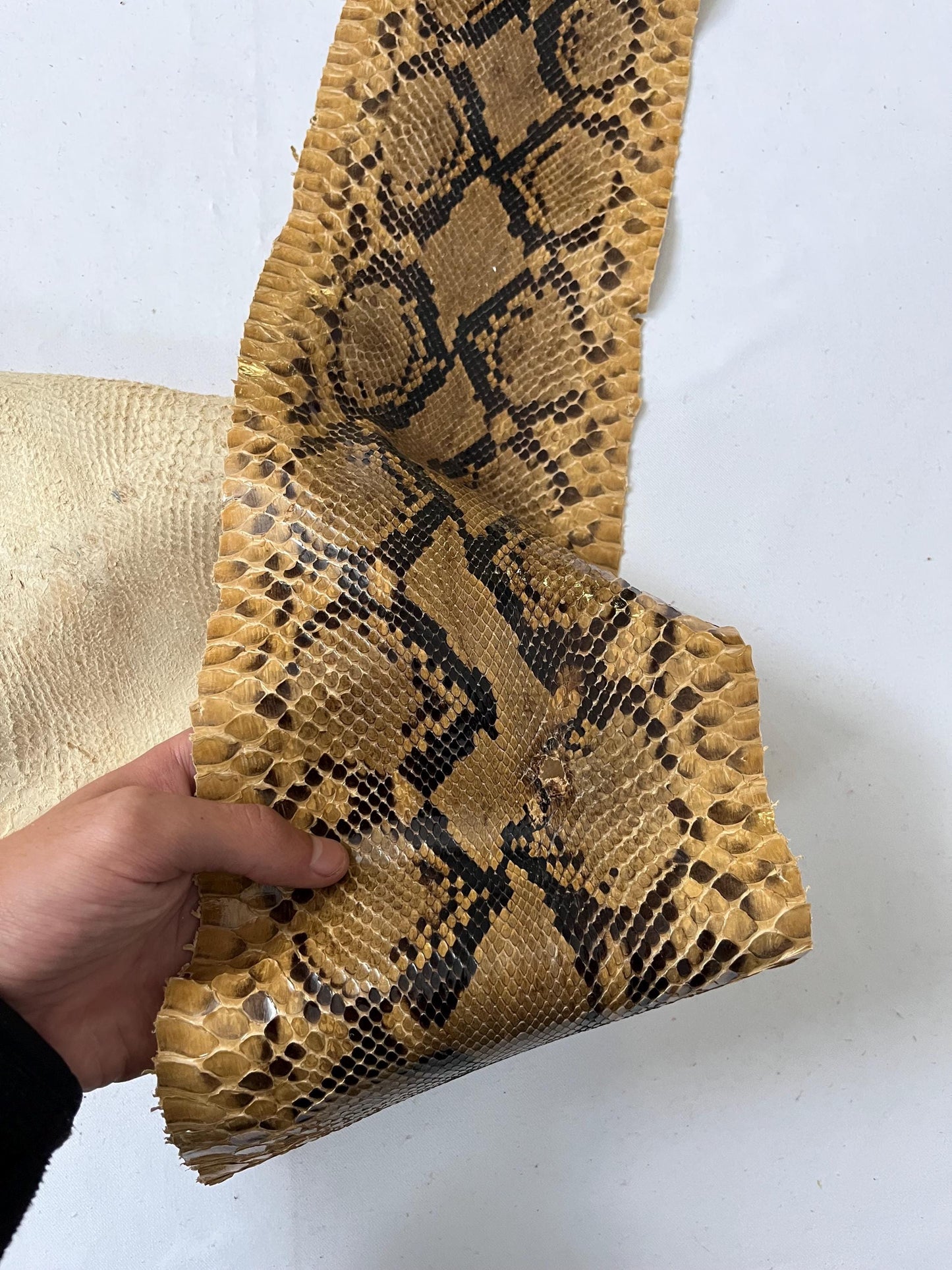 Real snake leather, genuine snakeskin hides, long and wide python leather for crafts of thick 0,7mm(2 oz)