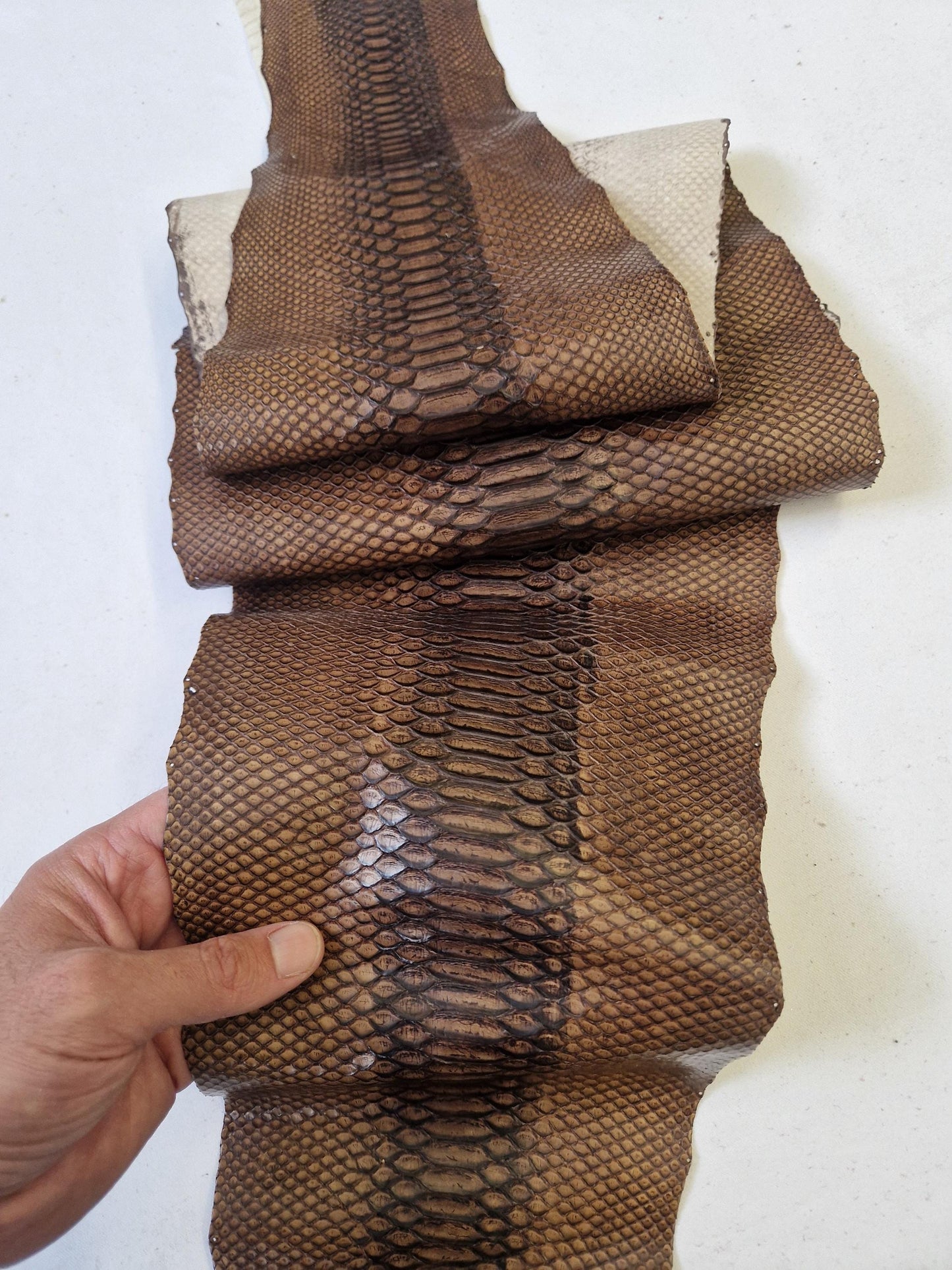 Genuine snake leather, real snakeskin hide, long and wide python leather for crafts of thick 0,7mm(2 oz)