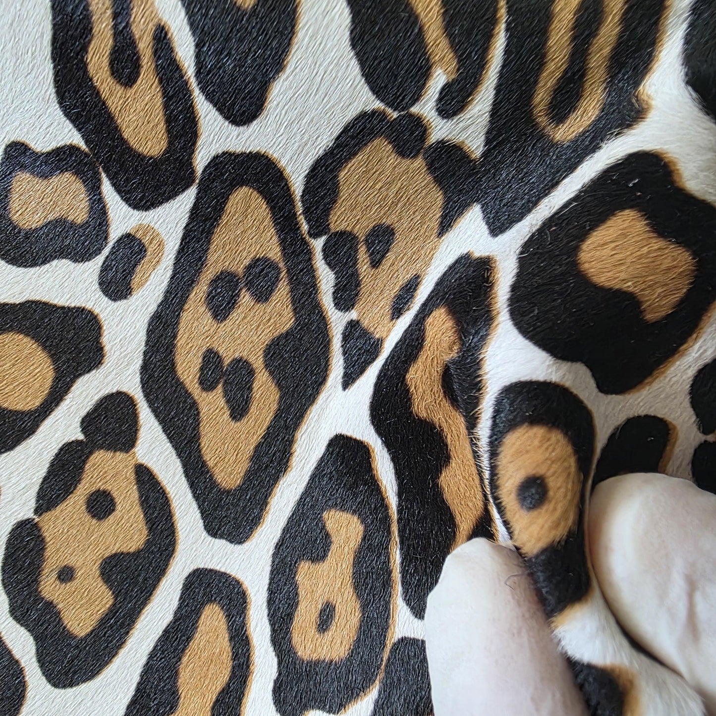 Leopard print cowhide skin, Hair on leather sheets, thickness 1,0mm (2 1/2 oz)