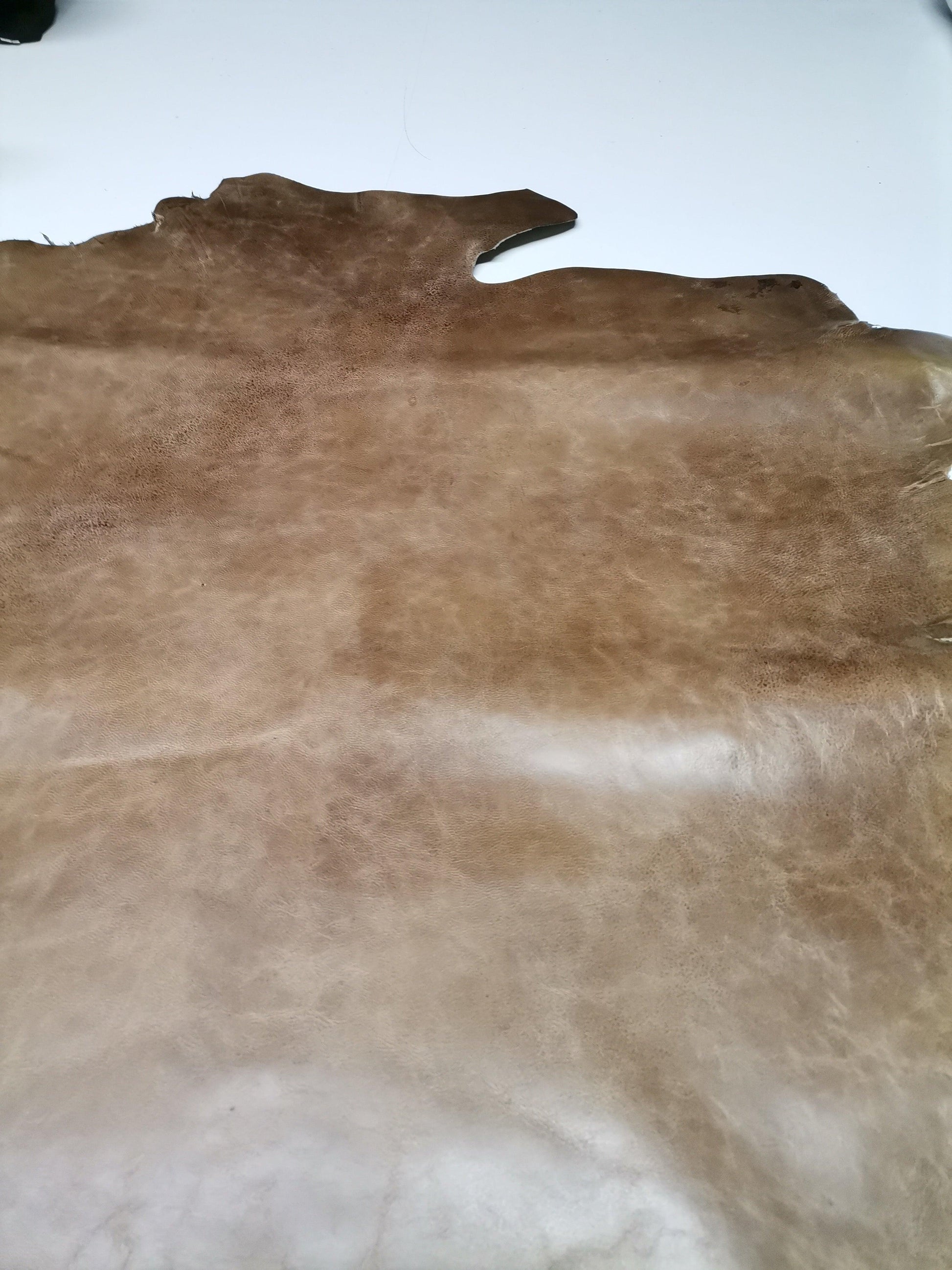 Goat antique, crunchy leather, Two tone goat hide, Milled oily rustic leather, Semi Veg Tanned - Salvo Leather