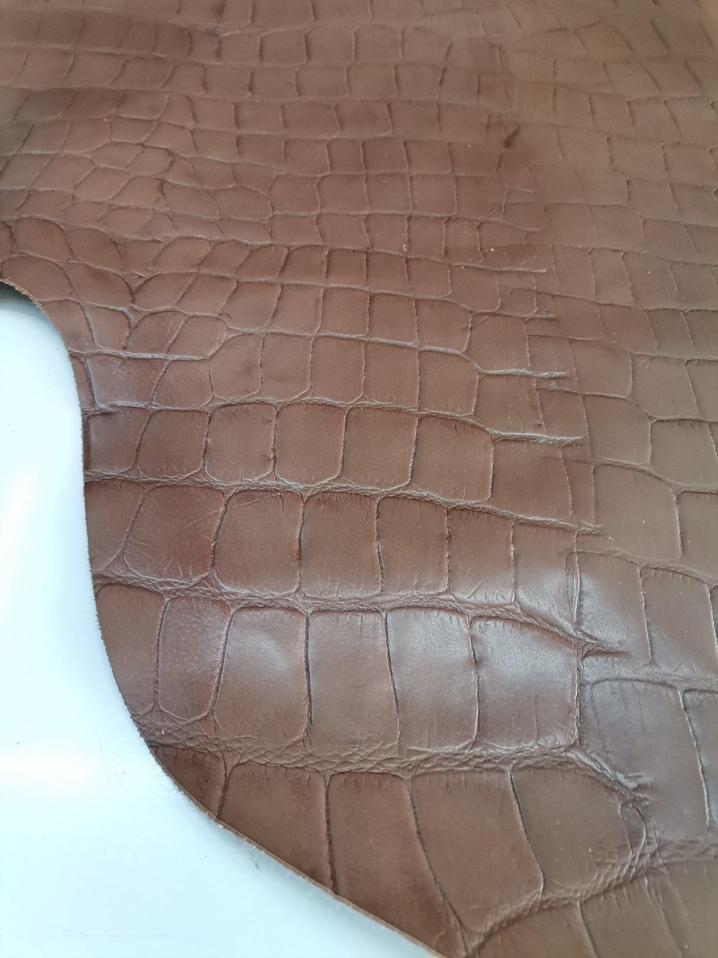 Cow embossed leather with big crocodile effect - Salvo Leather